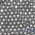 Steelshot S330 0,8 - 1,2 mm 20 kg Sack